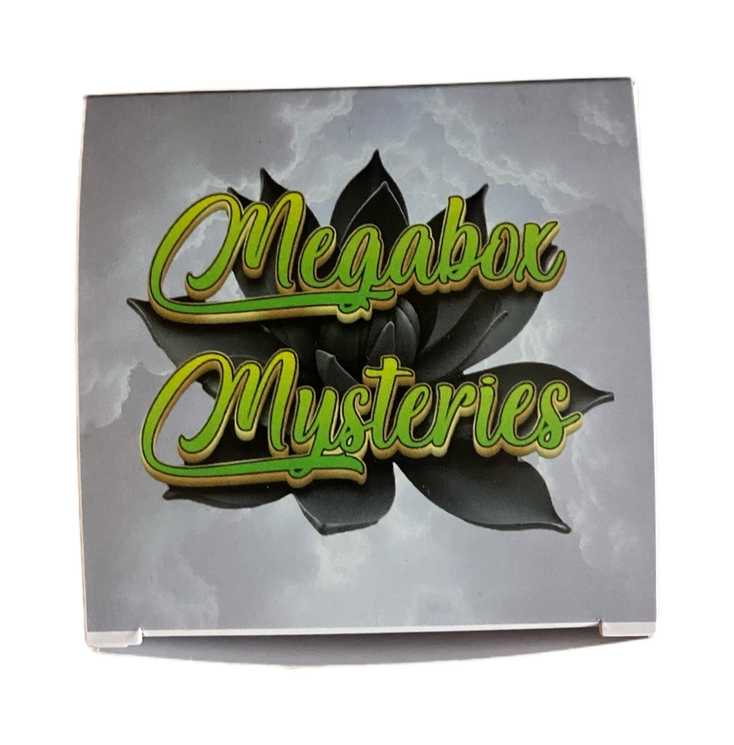 The Mega Box Pokemon Mystery Box